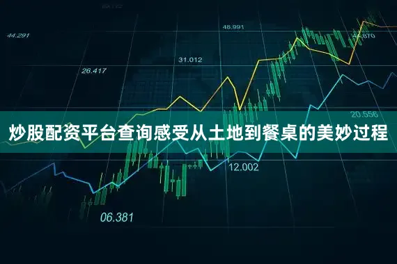 炒股配资平台查询感受从土地到餐桌的美妙过程