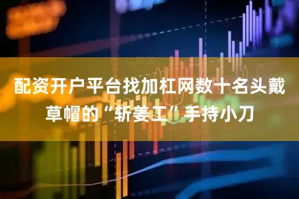 配资开户平台找加杠网数十名头戴草帽的“斩姜工”手持小刀